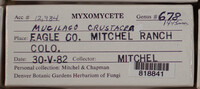 Image Associated With the Occurence